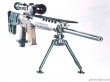 Gun (81)